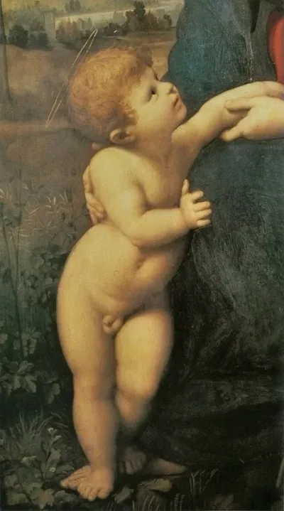 La belle Jardinière