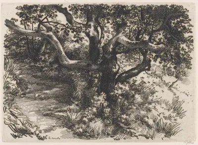 La Caruba
