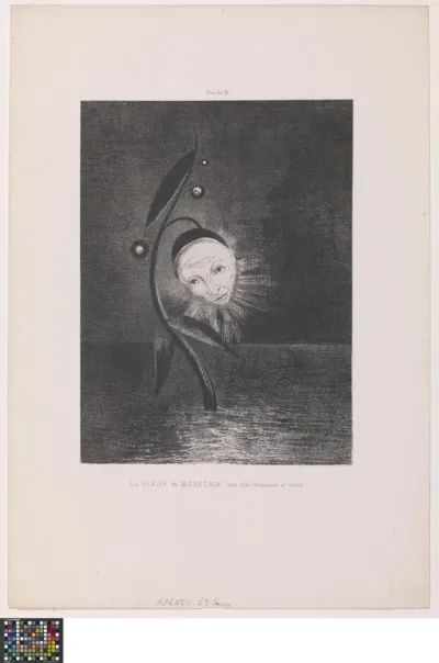 La fleur du marécage, une tête humaine et triste [De moerasbloem, een triest menselijk hoofd], uit de reeks Hommage à Goya.  6 lithographies par Odilon Redon