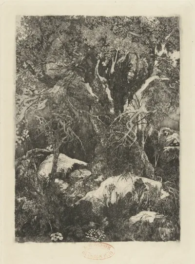 La forêt