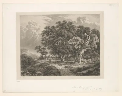 La lisière de forêt au vieux chêne