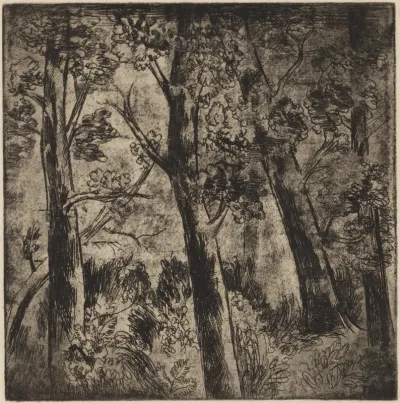 La lisière