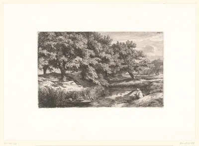 La Mare aux châtaigniers