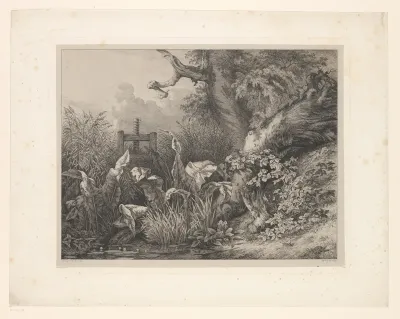 La patience d'eau et la ronce à la vanne