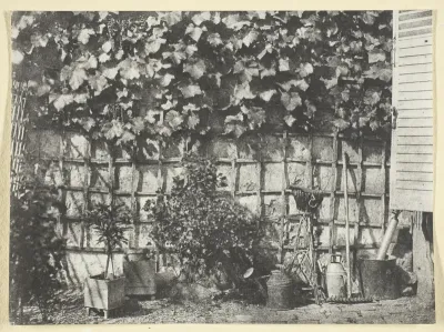 La Treille