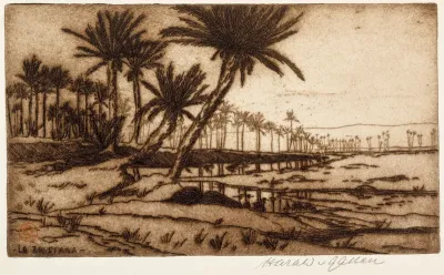La Zousfana (Palm Tree Landscape)