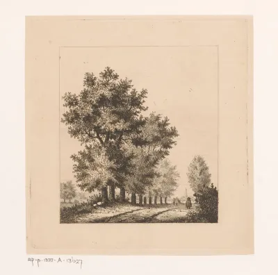 Laan in de polder bij Merksem
