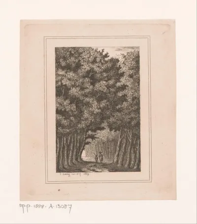 Laan in het bos in Ekeren