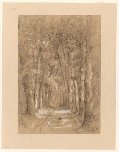 Laan tussen bomen