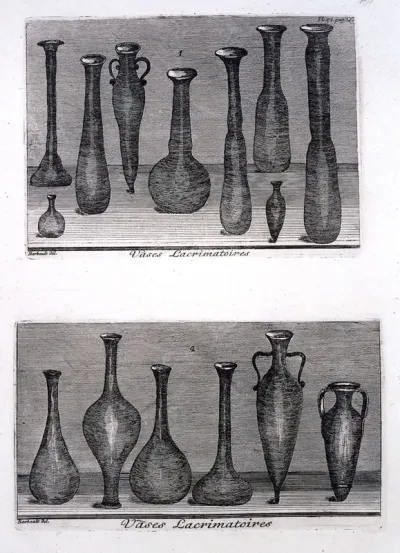 Lachrymatory vessels