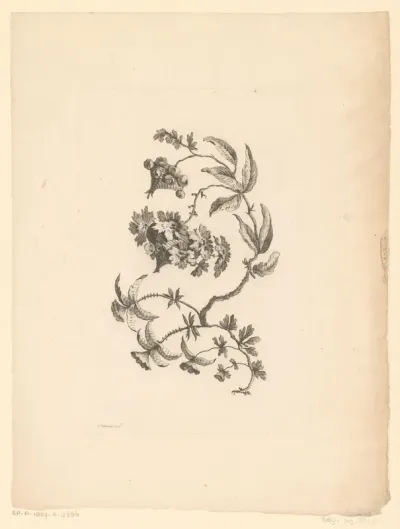 Lampionachtige bloemen