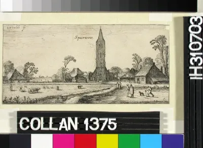 Landscape