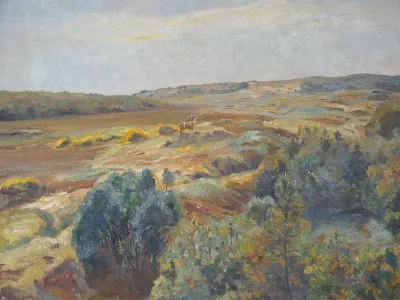 Landscape