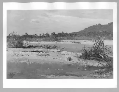 landscape at the river