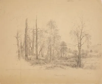 Landscape from Haminalahti