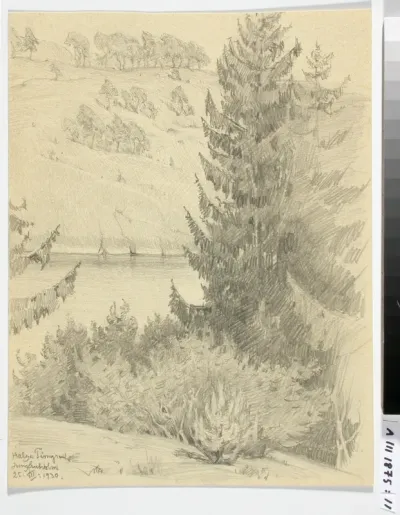 Landscape from Jungfruholmen