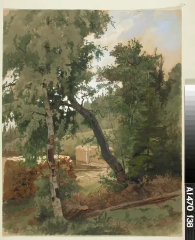 Landscape from Leppälahti