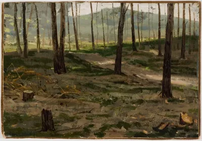 Landscape from Rath