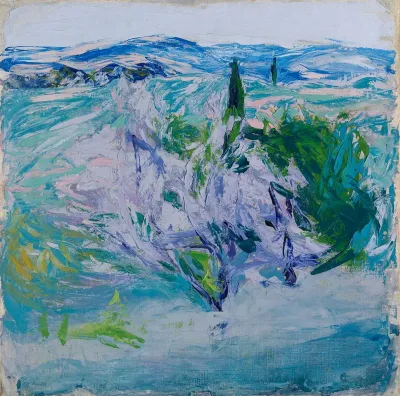 Landscape from Tuscany ;  Olive Grove