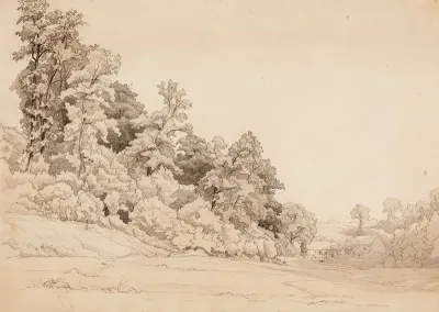 Landscape, hillside