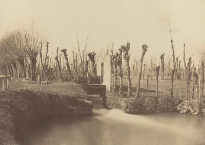 Landscape, Montebello