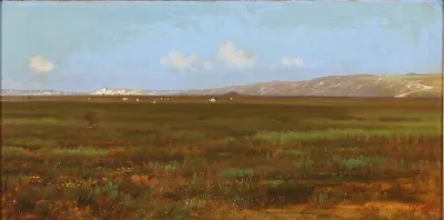 Landscape near Klitmøller, on a summer day