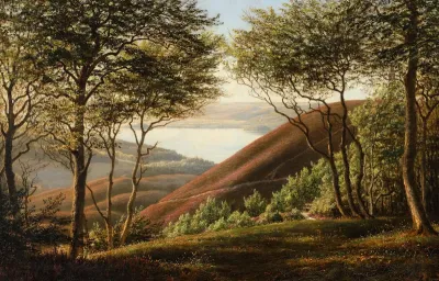 Landscape near Silkeborg Town