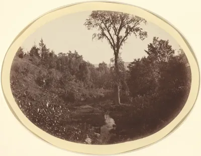 Landscape near Williams College