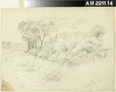 Landscape Study