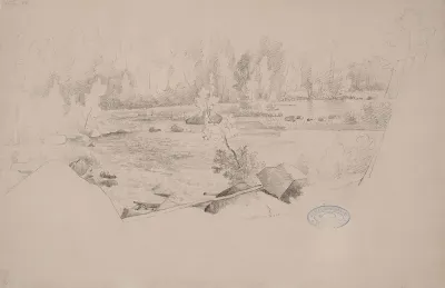 Landscape, Torrent and Dense Young Forest
