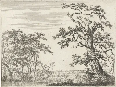Landscape with a Stream