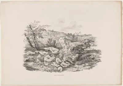 Landscape with a Tree Trunk