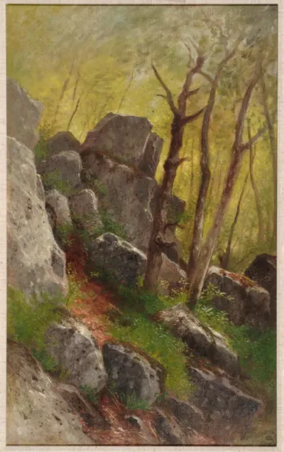 Landscape with Boulders