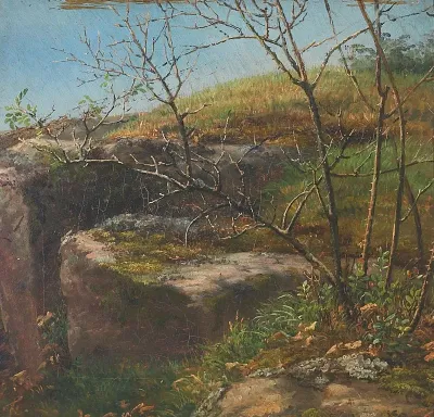 Landscape with bushes and large stones.