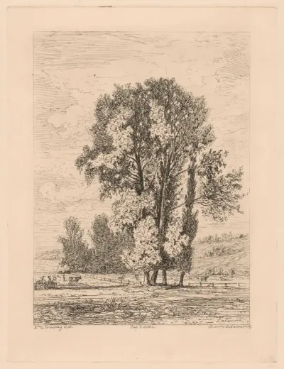 Landscape with Clump of Four Trees
