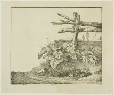 Landscape with Flora and Rustic Fence near Roadside