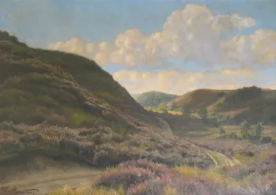 Landscape with heather.