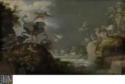 Landscape with Ostrich