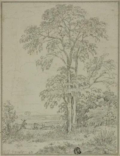 Landscape with Tree, Man, and Cows
