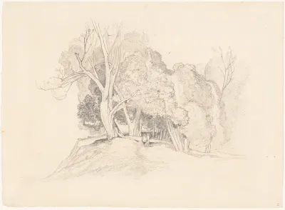 Landscape with Trees