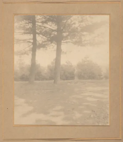 Landscape with trees