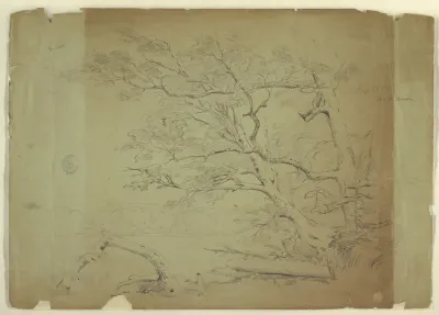 Landscape with Trees and a Stream, Grand Manan Island, Canada, September