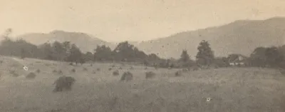 Landscape with trees and mountains