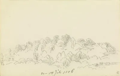 Landschaft mit Bäumen und Gebüsch