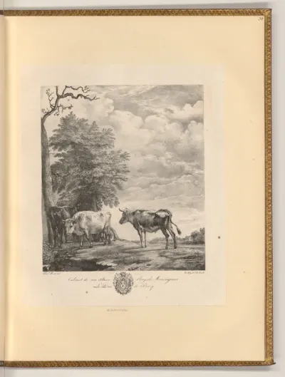 Landschaft mit Kühen