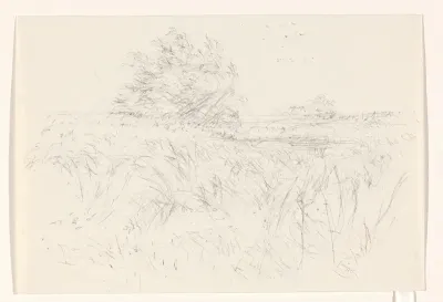 Landschap