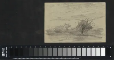 Landschap