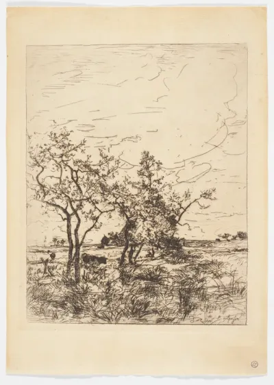 Landschap