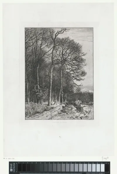 Landschap aan de rand van een bos