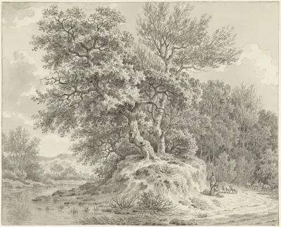 Landschap bij Alkmaar